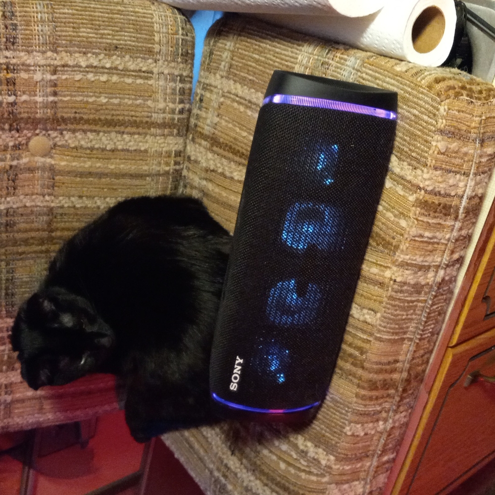 Sony SRS-XB43 (Extra Bass) new without box. Used a couple times indoors.